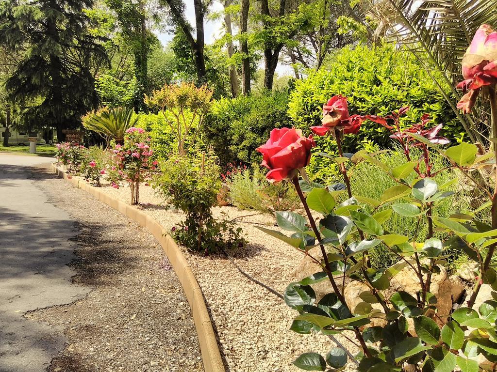Camping Le Fief D'Anduze Exterior foto